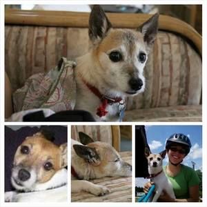 Meet your Posher, Sara